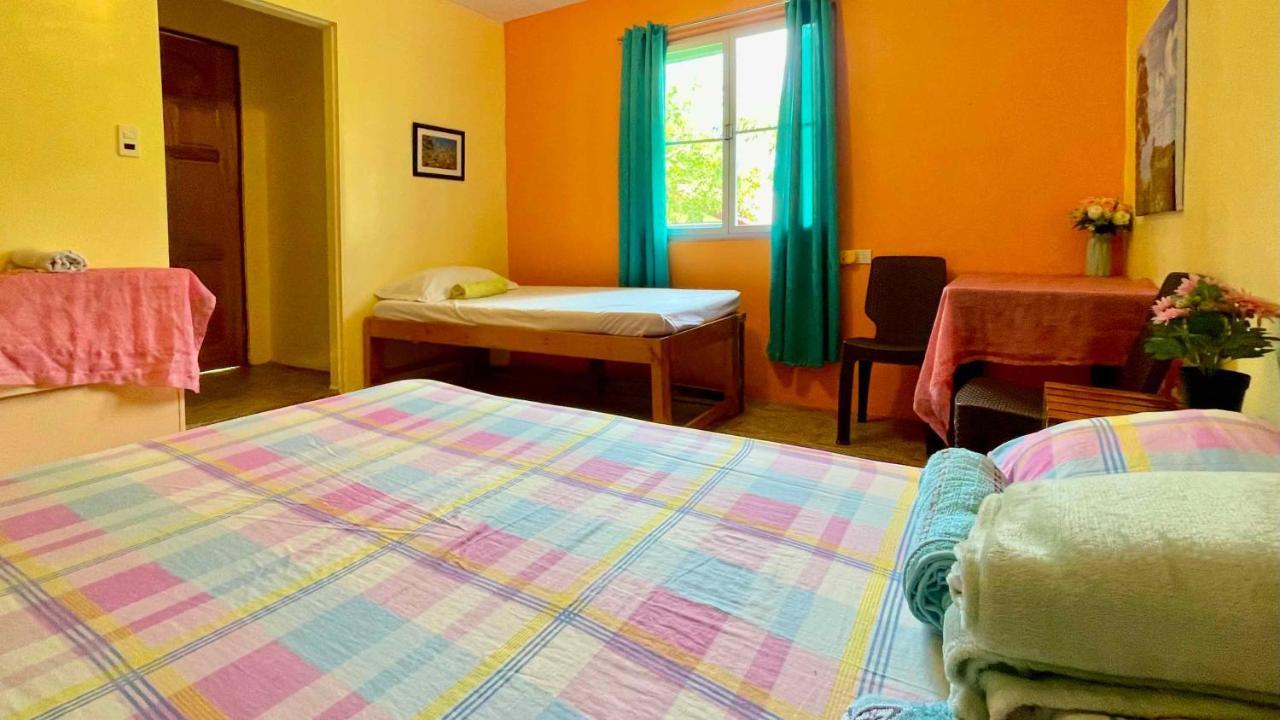 Blue Moon Guesthouse Puerto Princesa Εξωτερικό φωτογραφία