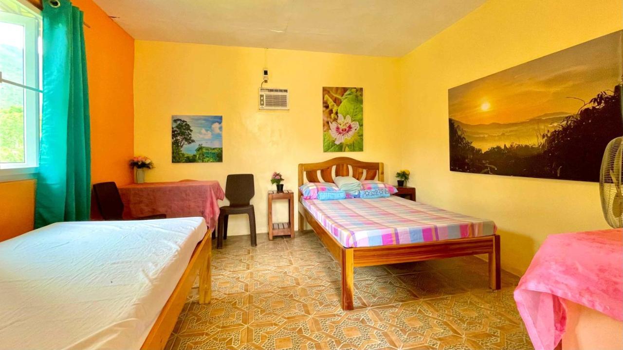 Blue Moon Guesthouse Puerto Princesa Εξωτερικό φωτογραφία