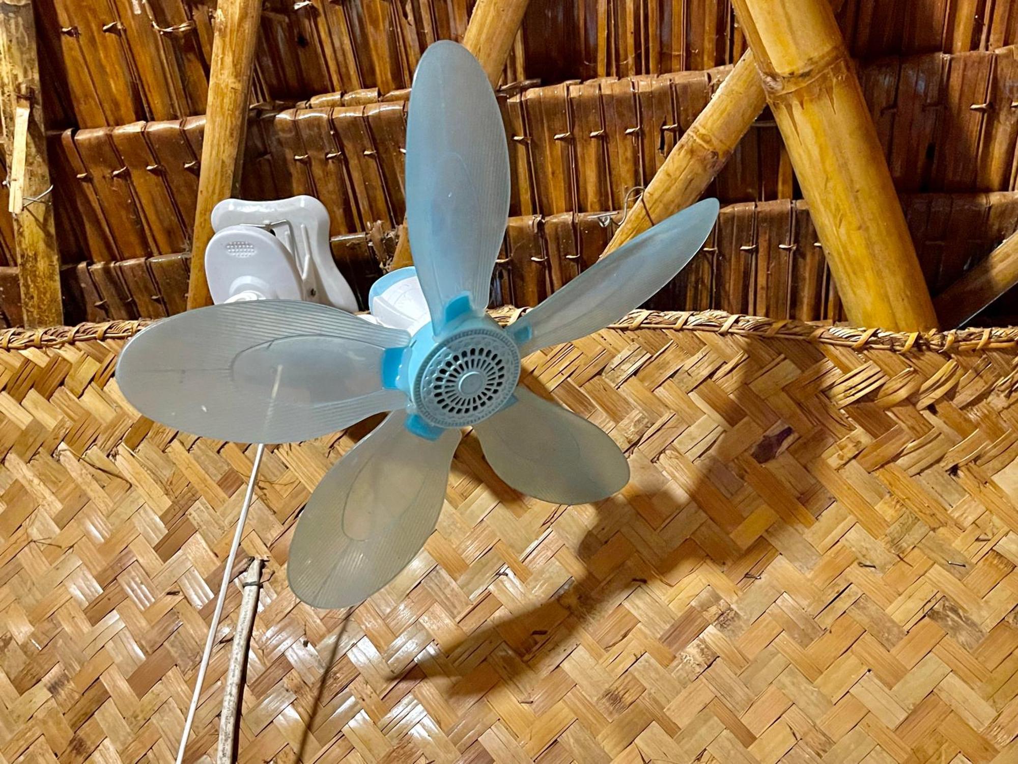 Blue Moon Guesthouse Puerto Princesa Εξωτερικό φωτογραφία