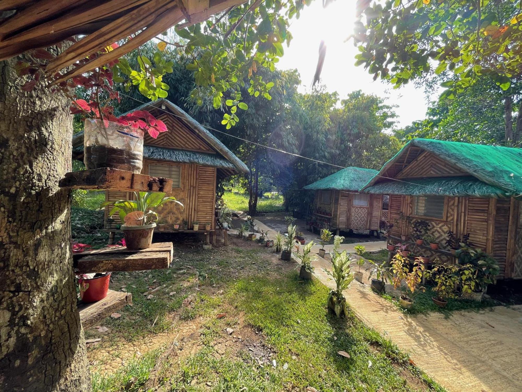 Blue Moon Guesthouse Puerto Princesa Εξωτερικό φωτογραφία